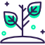 WordPress services 2